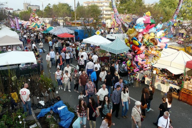 Święto kwiatów 2014: stoiska i scena MOK