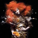 Koncert Björk w TCK! 