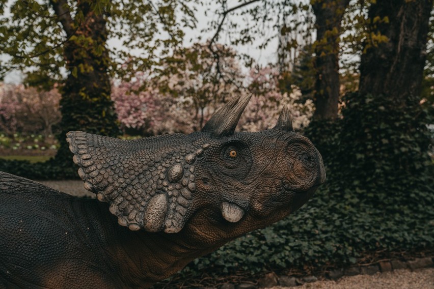 Dinozaury we Wrocławiu