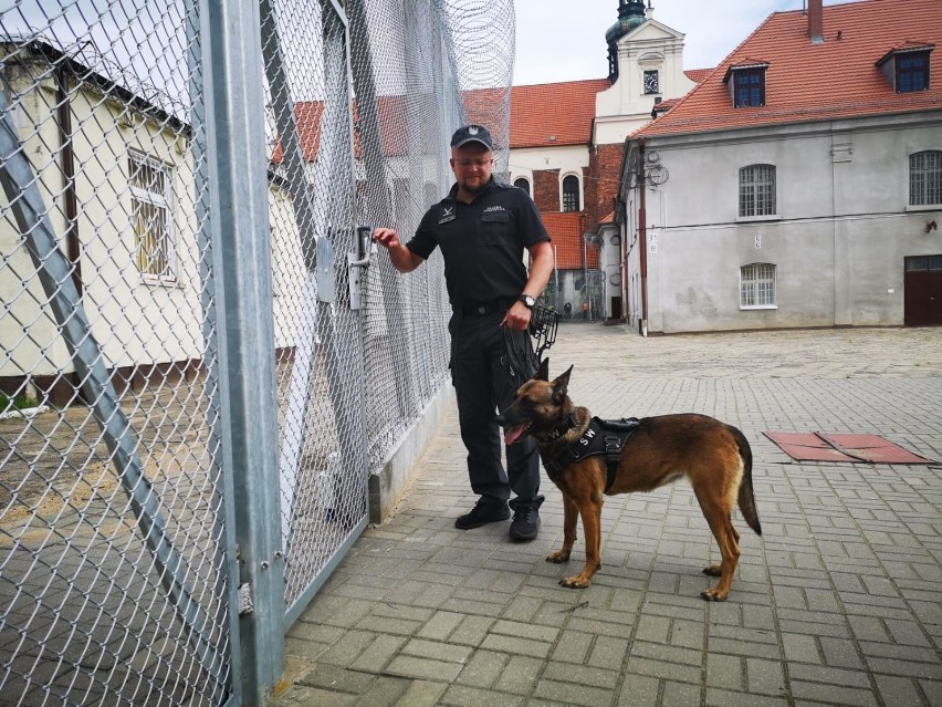 Nida to pies specjalny, który pełni służbę w Zakładzie...