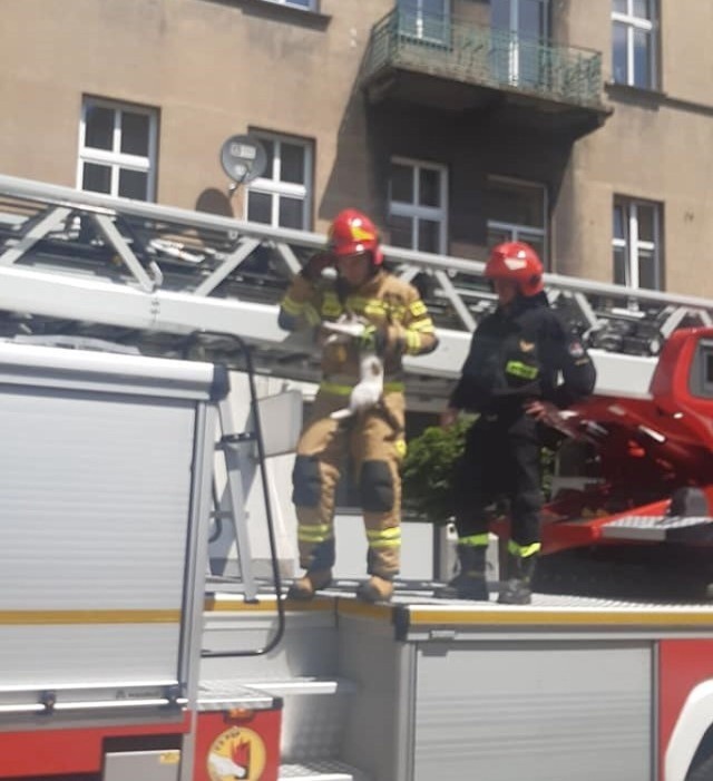 Zobacz kolejne zdjęcia. Przesuwaj zdjęcia w prawo - naciśnij strzałkę lub przycisk NASTĘPNE