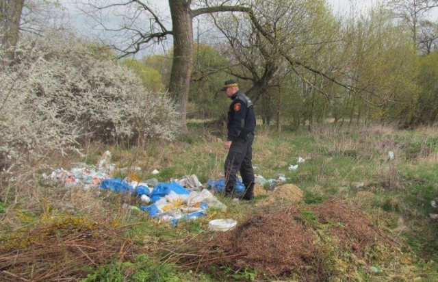 Straż Miejska w Kole pilnuje porządku