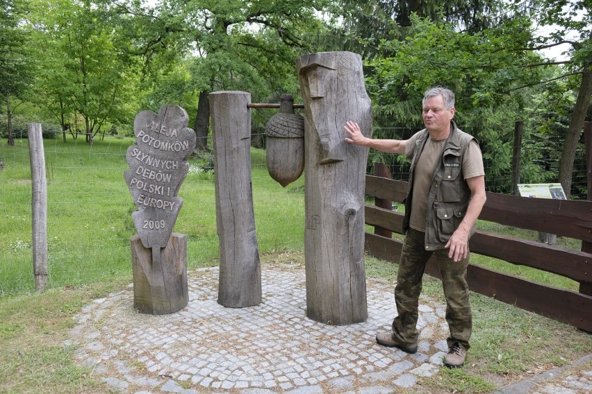 Ogród  dendrologiczny oraz wieża obserwacyjno - widokowa na...