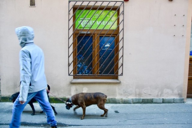 Jest szansa na szalet miejski w centrum Nowego Sącza. Jeśli powstanie, to przy ul. Wazów