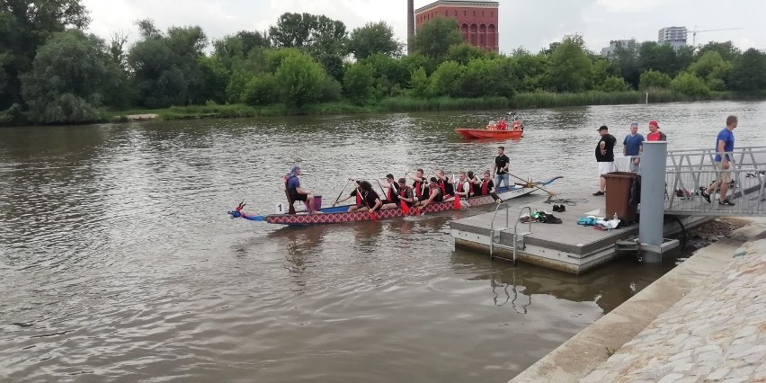 Wrocław. Wyścigi studentów na Odra River Cup 2019. Zobacz zdjęcia
