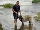 Dragon odnaleziony! Bardzo dziękujemy wszystkim Internautom za szeroki odzew na prośbę o wiadomości!