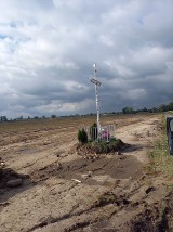 Powiat Gniezno. Wyciął drzewa, naruszył krzyż. Czeka go kara