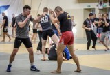 130 funkcjonariuszy służb mundurowych z Pomorza uczyło się w Gdańsku walczyć wręcz, sztuki MMA, krav magę, judo