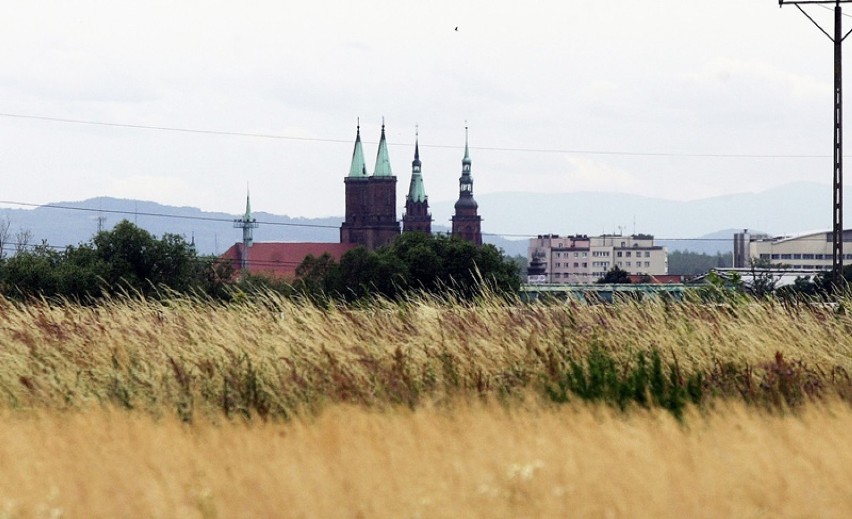 Tak wygląda Legnica widziana z wysokości ulicy Szczytnickiej [ZDJĘCIA]