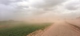 Burza piaskowa pod Bytowem. Prawie jak na Saharze (ZDJĘCIA, WIDEO)