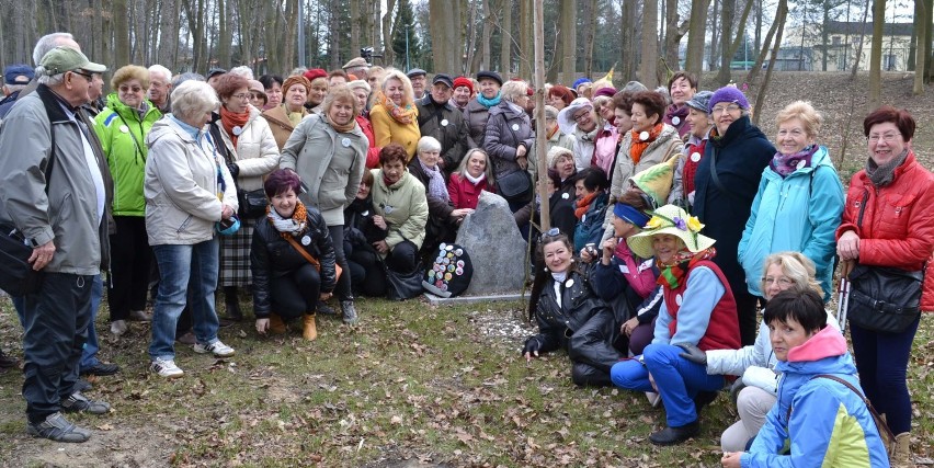 "Święto drzewa" słuchaczy U3W w Malborku. Spotkali się koło swojego dębu