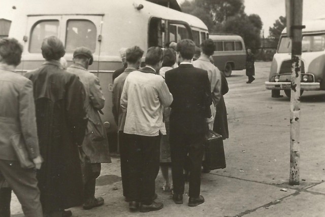 Początki. Pierwsze autobusy marki Star-52, popularnie nazywane przez pasażerów "stonkami"