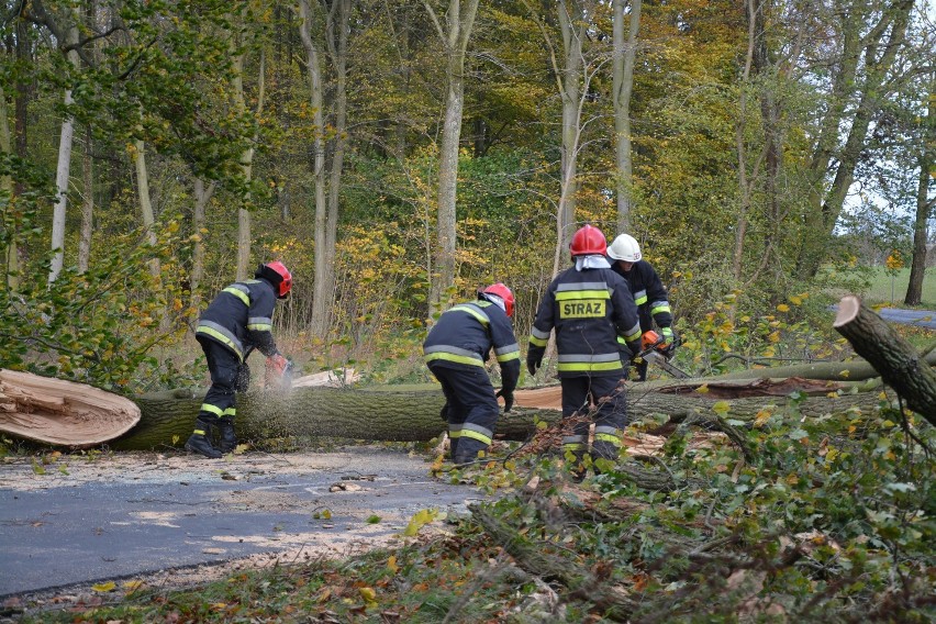 Strażacy z powiatu sępoleńskiego podczas akcji i ćwiczeń