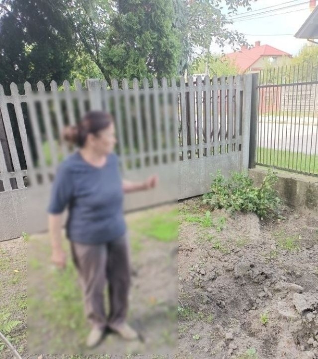 Kobieta mieszkająca przy ulicy Ponurego Piwnika w Kielcach  pokazuje kawałek swojej działki, na której nie może sadzić warzyw, bo jak twierdzi w ziemi są korzenie drzew sąsiadki.