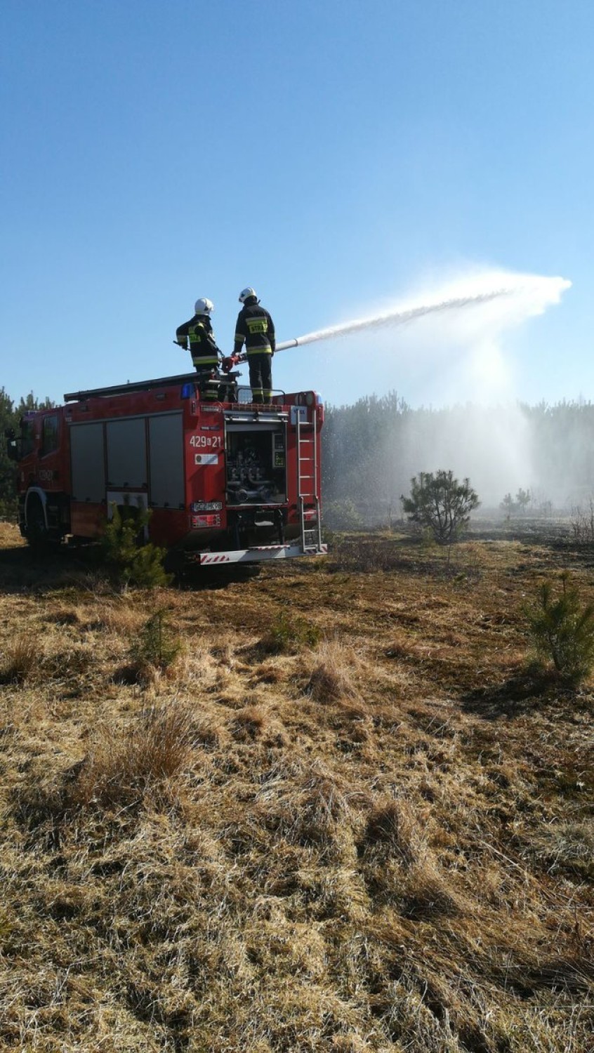 Człuchów, gmina Koczała. Niebezpieczne pożary traw - w Trzyńcu spłonęło 1,5 ha w pobliżu zabudowań