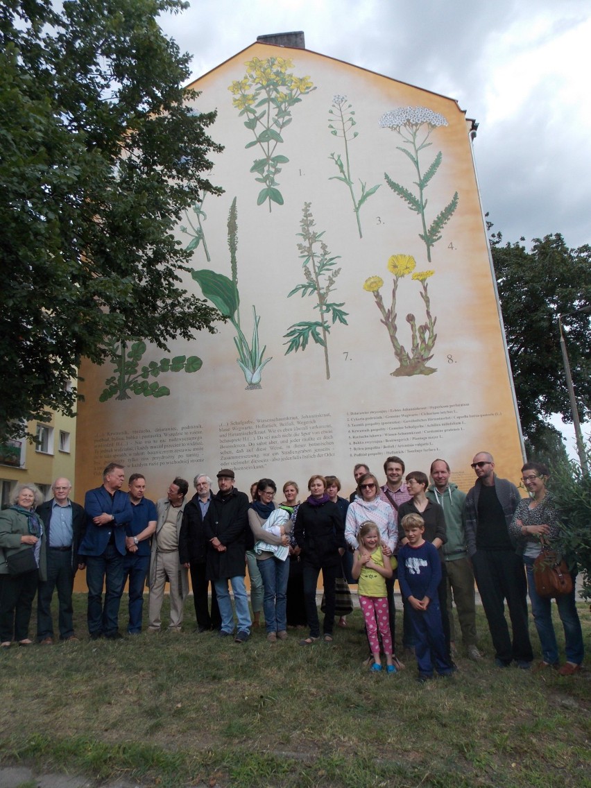 Dwie stare ściany stały się piękną ozdobą miasta. Mamy kolejne murale w Gorzowie [zdjęcia]