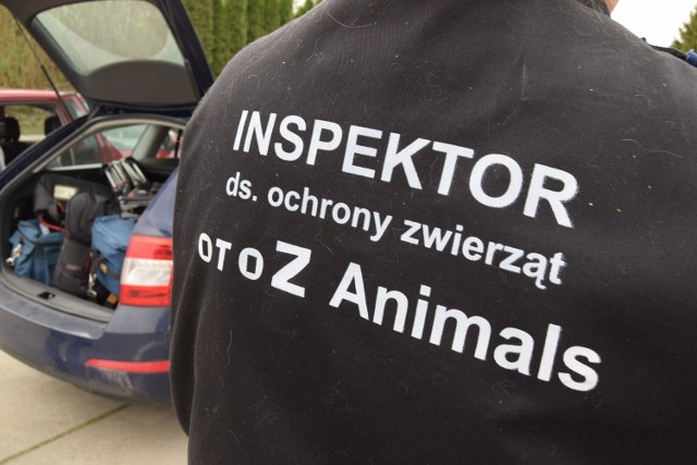 Działacze Animalsów w czasie interwencji