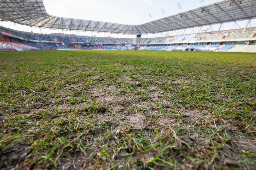 Murawa Stadionu Miejskiego w Bielsku-Białej jest w kiepskim...