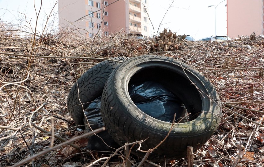 Skarpa nadwiślańska na skraju osiedla Strzemięcin jest...