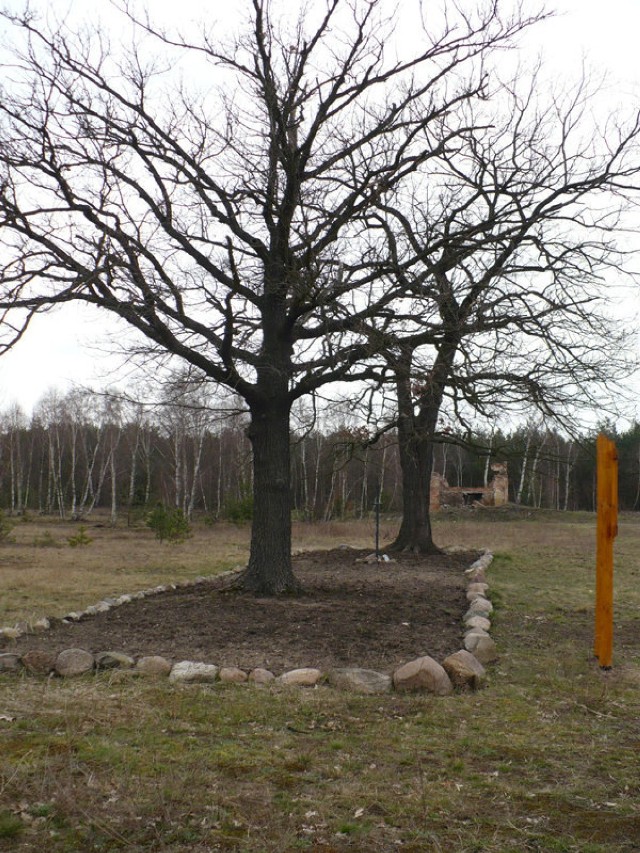 Mogiła żołnierzy napoleońskich znajduje się jak dawniej - w lesie na obrzeżach Żagania, nieopodal sektora zachodniego byłego obozu Stalag Luft III. Fot. Jola Paczkowska