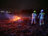 Nocny pożar przy autostradzie A2 gasili dzisiaj strażacy OSP Wartkowice ZDJĘCIA