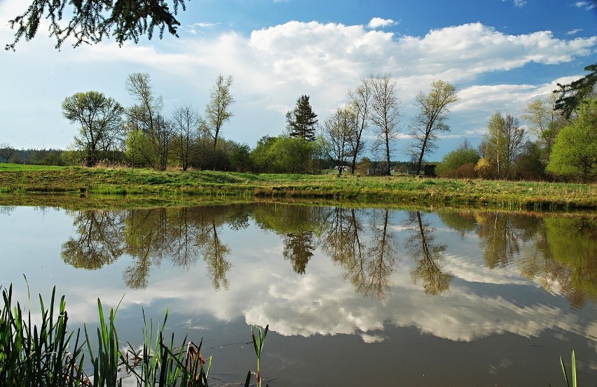 Jezioro Chechelskie, Chrzanów

Ocena: 4,6

Opinii: 13.