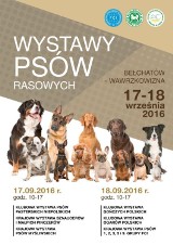 Wystawa psów na Wawrzkowiźnie już w ten weekend