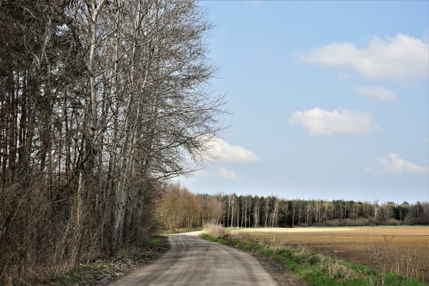 Uroki ziemi zbąszyńskiej. Nowy Dwór - Przychodzko