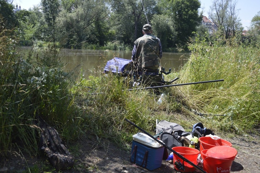 Głogów: Zawody wędkarskie Koła PZW „Famaba" w Zatoce Kolegiackiej. ZDJĘCIA