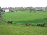 Wieś spokojna, wieś wesoła - na Raciborszczyźnie która wygrać zdoła? [ZGŁOŚ KANDYDATKĘ]