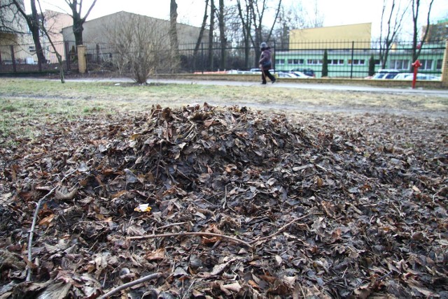 Tatary. Nasiąknięte wodą liście szpecą osiedlowe ulice