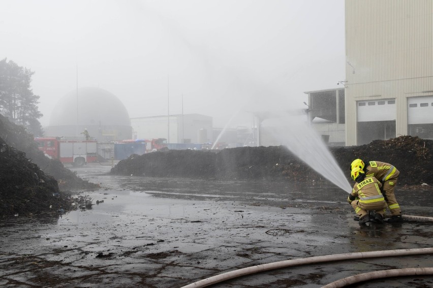 Wielkie ćwiczenia strażackie w Zakładzie Unieszkodliwiania Odpadów Komunalnych „Orli Staw” pod Kaliszem. ZDJĘCIA