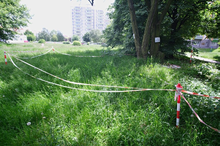 Warszawa. Drzewa w parku Skaryszewskim zagrożone wycinką? Tuż obok deweloper stawia nowe osiedle
