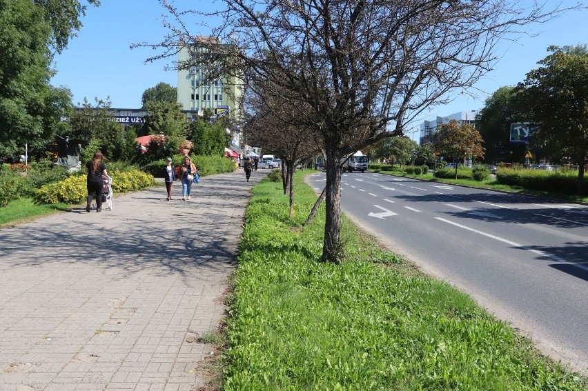 Wzdłuż ulicy Prażmowskiego w Radomiu powstanie droga rowerowa. Zarząd Dróg ogłosił właśnie przetarg na wyłonienie wykonawcy