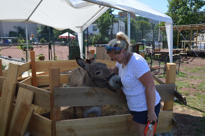 Konflikt między urzędnikami a fundacją z Chyloni odbija się na mieszkańcach