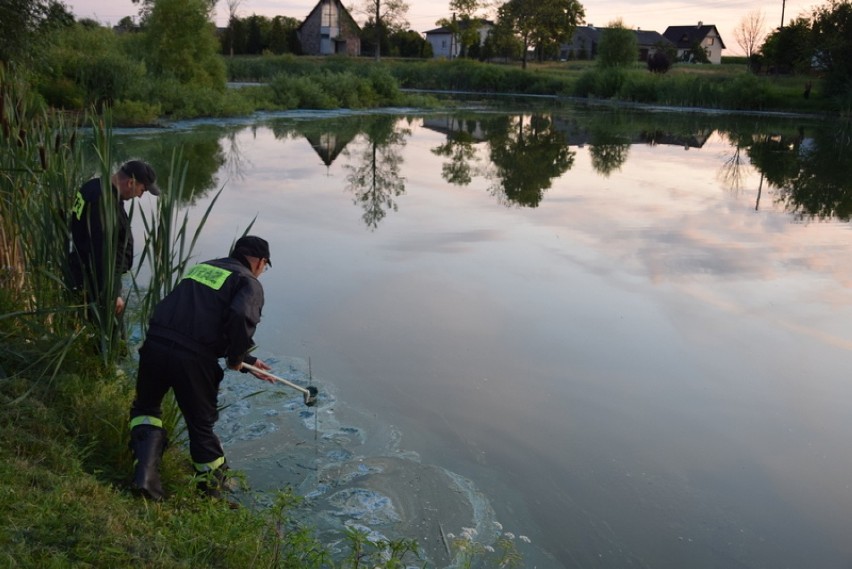 Co strażacy ratownictwa chemicznego z Piły robili w Brzeźnie Człuchowskim