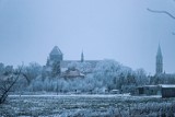 Malbork, Nowy Staw. Zimowe widoki w obiektywie Konrada Sosińskiego, a za chwilę odwilż 