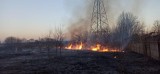 Duży pożar traw przy ul. Broniewskiego w Piotrkowie. Gasiło go 7 zastępów ZDJĘCIA