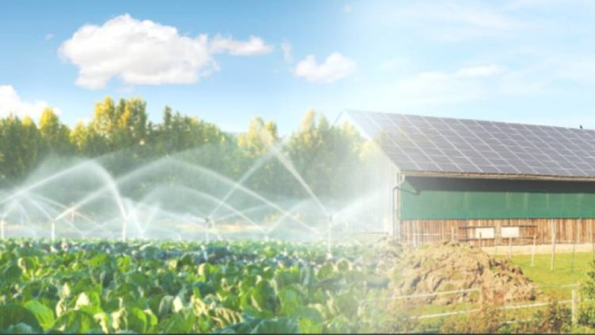 Wnioski o dofinansowanie nawadniania i fotowoltaiki w gospodarstwach rolnych. ARiMR przedłużyła termin składania