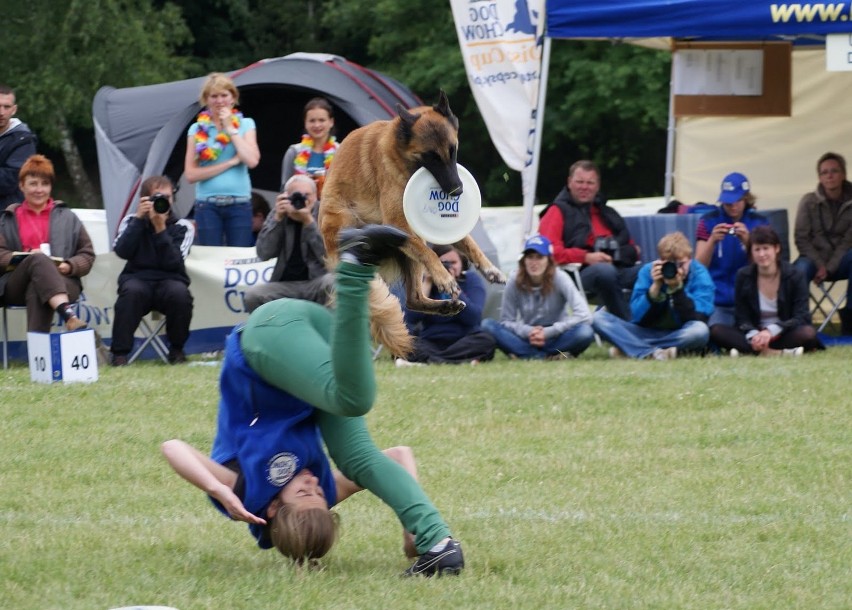 Pierwszy dzień zawodów. Pokazy super dogs.