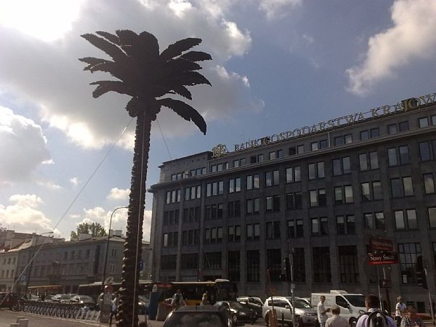 Czekoladowa palma stanęła przy rondzie De Gaulle’a