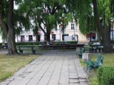 Więcej drzew i zieleni na Rynku w Skierniewicach. Pracują nad koncepcją [ZDJĘCIA]