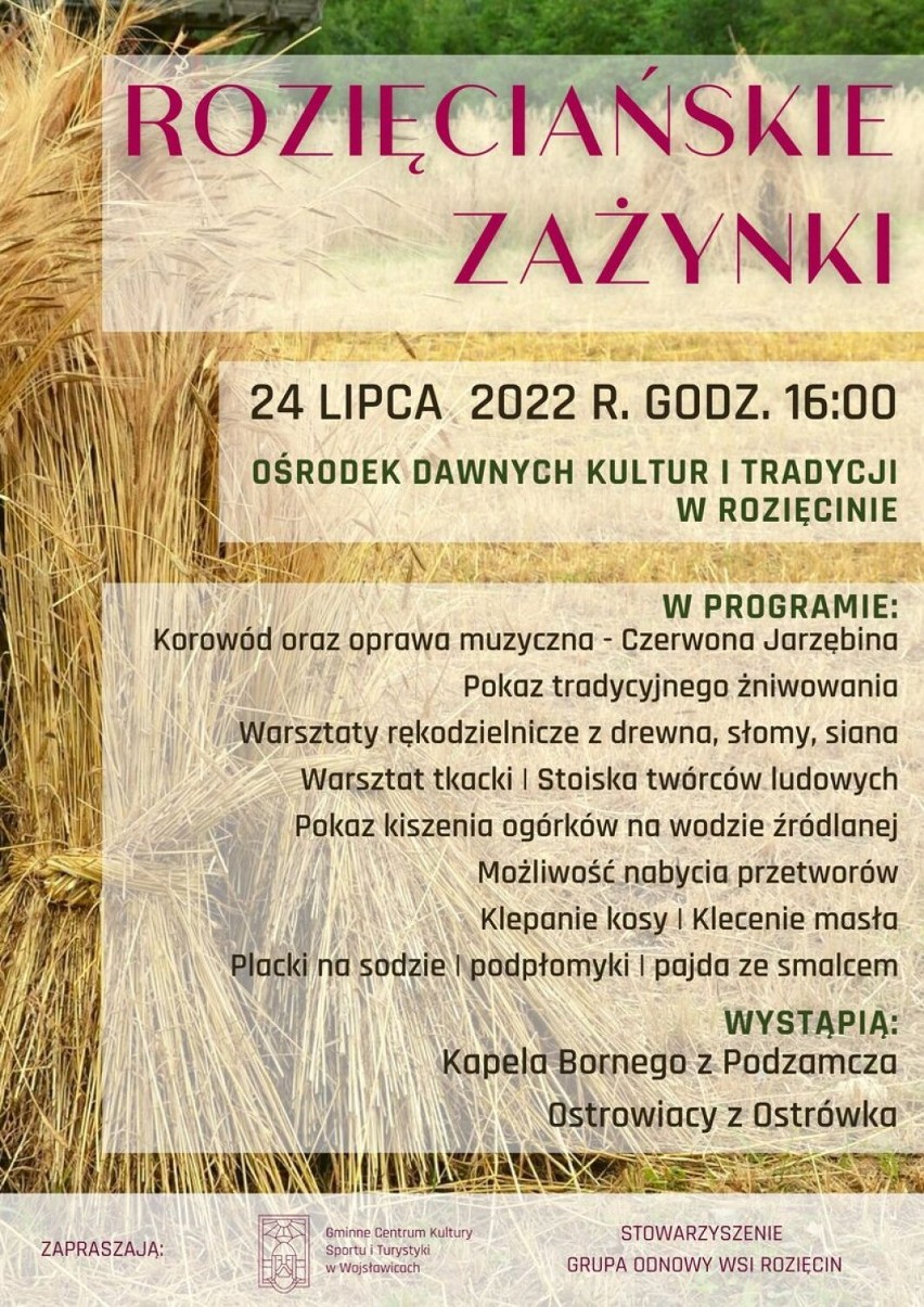 Wojsławice. Rozięciańskie zażynki - to będzie żniwowanie i zabawa po dawnemu