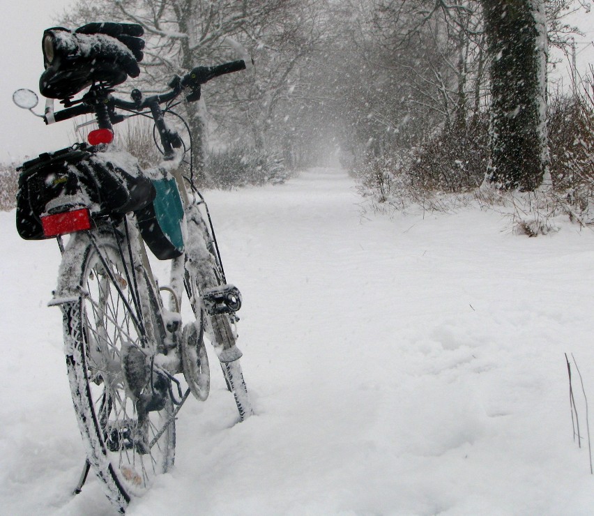Zimą nie wszystkie rowery wisiały na kołkach