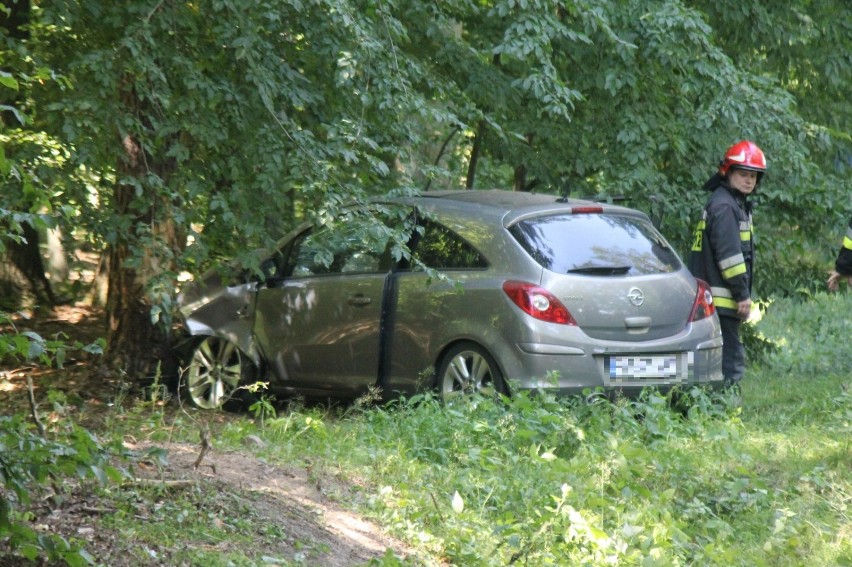 Samochód uderzył w drzewo przy trasie Sulmierzyce-Krotoszyn [ZDJĘCIA]             