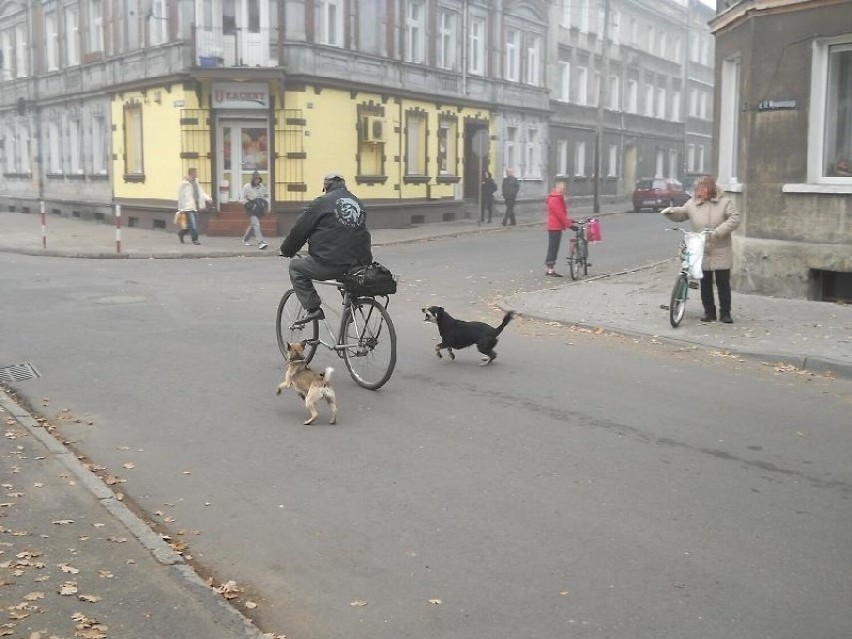 Zobacz, co się wydarzyło się 15 lat temu w Nowej Soli. To...