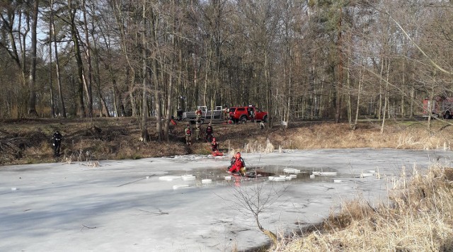 W poniedziałek, 22 lutego strażacy z KP PSP w Śremie odbyli ćwiczenia z ratownictwa lodowego.