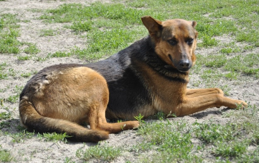 9 letnia Bella praktycznie całe swoje życie spędza w...