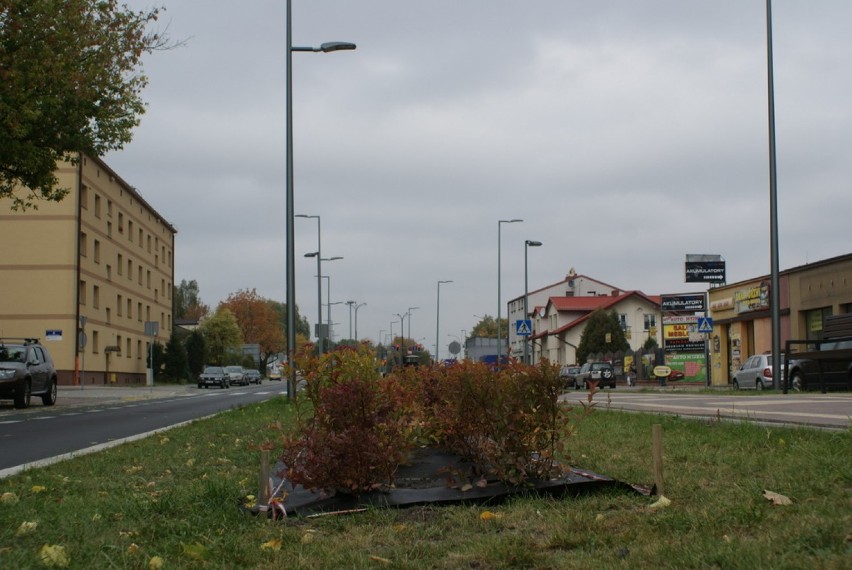 Nowa zieleń i donice pojawiły się na al. Majakowskiego