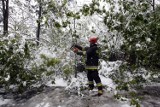 Śnieg w maju! Tak było 10 lat temu w Legnicy, zobaczcie zdjęcia